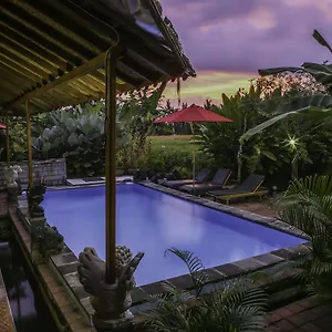  Guest house Soca House